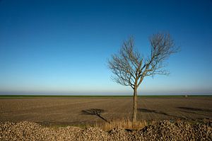 Minimalismus auf dem Hochland von Groningen