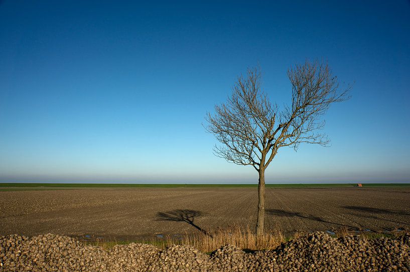 Minimalism on the Highland of Groningen by Bo Scheeringa Photography