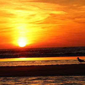 Zandvoort zonsondergang van Veli Aydin