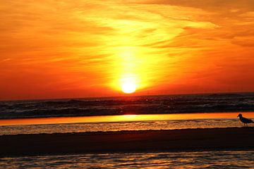 Zandvoort zonsondergang van Veli Aydin