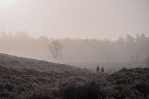stimmungsvoller Spaziergang