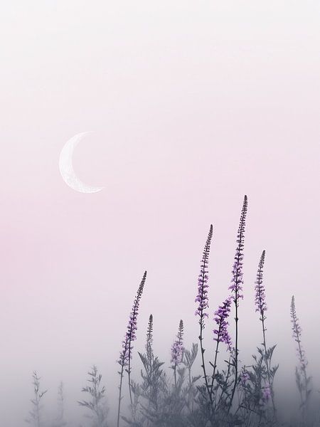 Pastellfarbene Blumen mit Mond von Thea