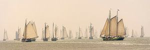 Gespenster im Nebel