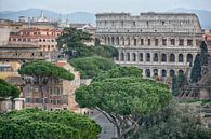 Colosseum Rom von Joachim G. Pinkawa Miniaturansicht