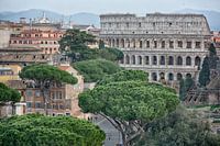 Colosseum of Rome