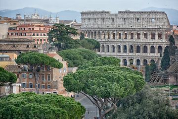 Colosseum of Rome van Joachim G. Pinkawa
