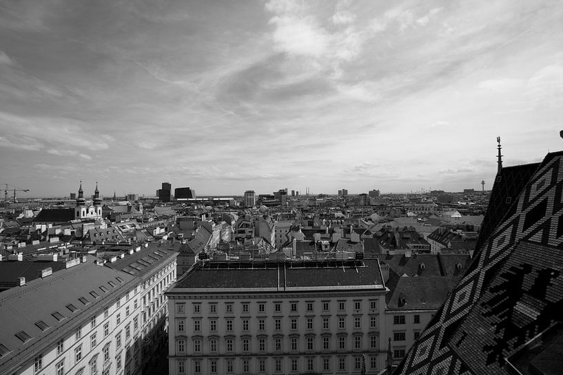 Blick über Wien, Österreich, in Schwarzweiß von Bianca Meyering Fotos - BMF