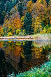Herbst im Schwarzwald