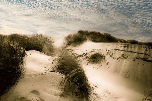 Duinen