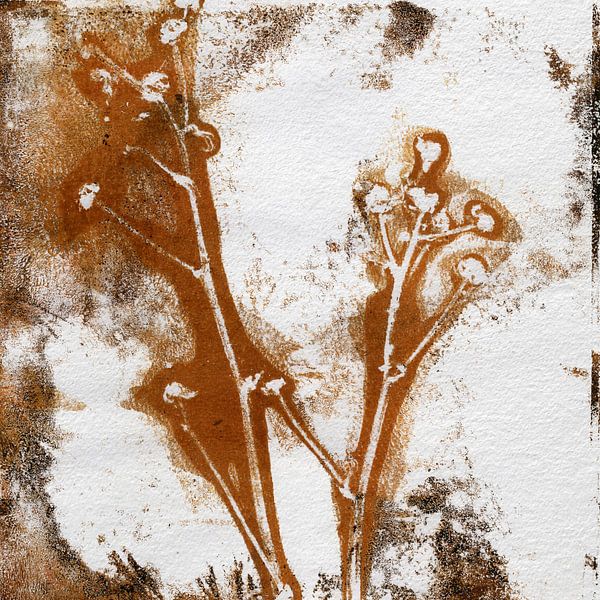Bloemen in roestbruin op wit. Moderne botanische minimalistische kunst van Dina Dankers