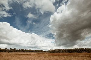 Mooi Drenthe van Nanda van der Eijk