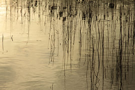 Water spiegeling 