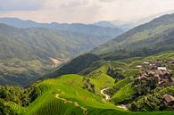 Longji (Dragon's Backbone) Terraced Rice Fields by Peter Voogd thumbnail