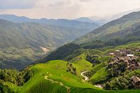 Longji (Dragon's Backbone) Terraced Rice Fields