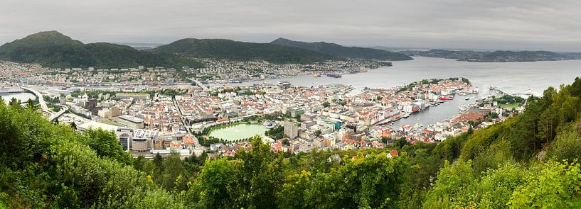 Vue du centre de Bergen depuis Floyen par Sean Vos