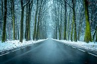 Weg in een besneeuwde winter Beukenbos tijdens een koude winterdag van Sjoerd van der Wal Fotografie thumbnail