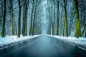 Straße in einem verschneiten Winter Buchenwald während eines kalten Wintertages von Sjoerd van der Wal Fotografie