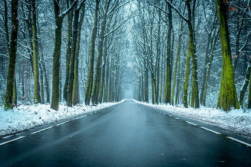 Weg in een besneeuwde winter Beukenbos tijdens een koude winterdag van Sjoerd van der Wal Fotografie