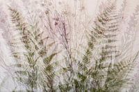 collage with ferns, multiple exposures