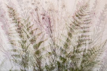 collage with ferns, multiple exposures by Guido Rooseleer