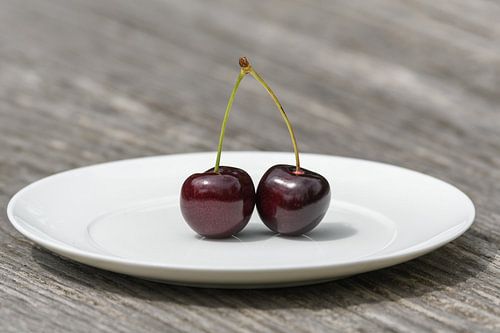 Samen zijn we niet alleen / Together we are not alone