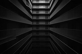 Profondeur sur Maikel Brands