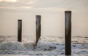 Palm village Petten during sunset. by Corné Ouwehand