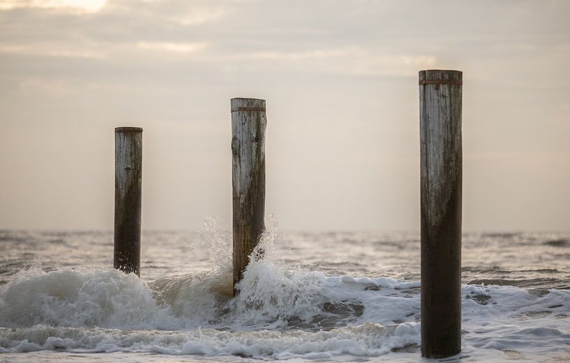 Palm village Petten during sunset. by Corné Ouwehand
