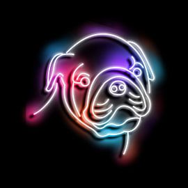 buldog neon art by izmo scribbles