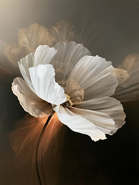 Poëtische Bloemendans van Imagine