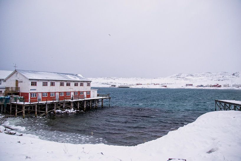 Bugøynes, Norwegen von Maria-Maaike Dijkstra
