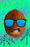 Coco Gruñon