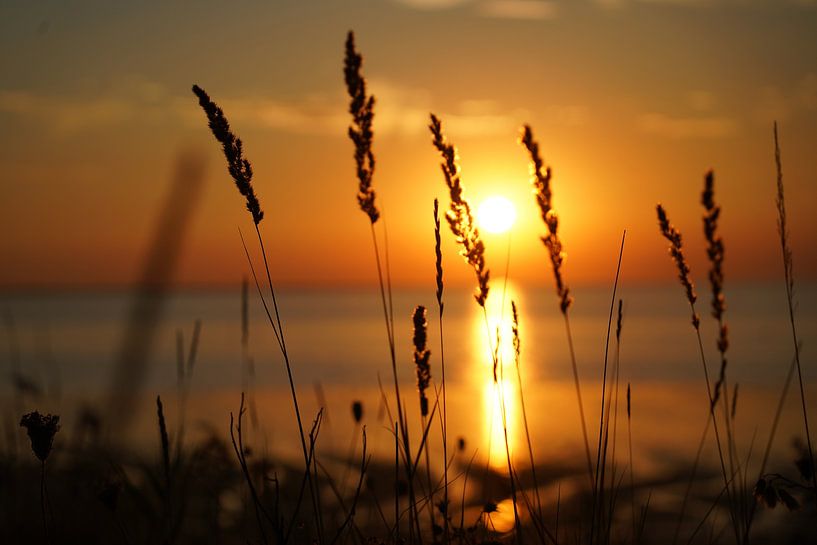 sunset by Edwin Van kleef
