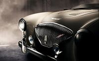 1954 Austin Healey 100M Le Mans registry by Thomas Boudewijn thumbnail