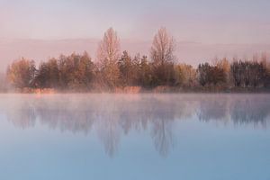 Waking Up morning sur Davy Sleijster