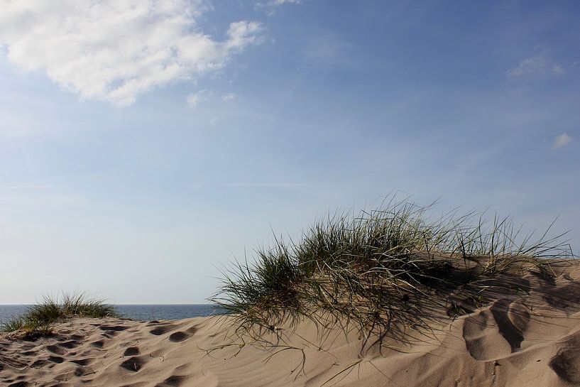 Im Licht von Ostsee Bilder