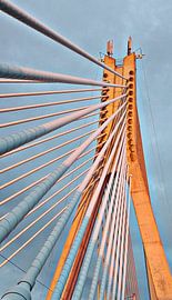 Tram lijnen (Dublin) sur Lisa Geurts