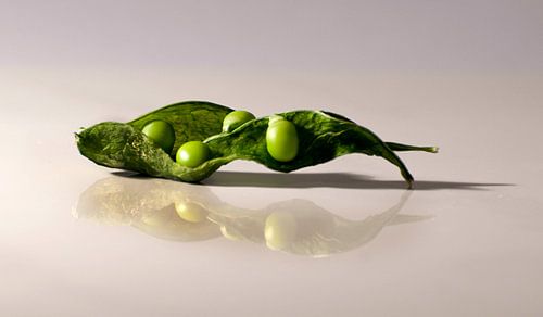 Le pois de la princesse