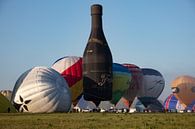 Hete Luchtballon festival van Cornelius Fontaine thumbnail