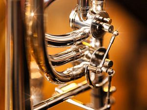 Détail d'un trombone à coulisse