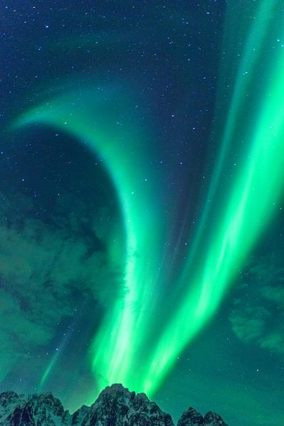 Les aurores boréales, la lumière polaire ou Aurora Borealis dans le ciel nocturne sur les îles Lofot par Sjoerd van der Wal Photographie