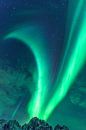 Noorderlicht, poollicht of Aurora Borealis in de nachtelijke hemel boven de Lofoten van Sjoerd van der Wal Fotografie thumbnail