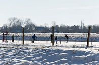 Dutch Winter by Ellen Voorn thumbnail