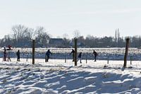 Dutch Winter