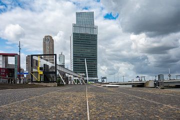 The docks of Rotterdam by Werner Lerooy