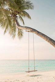 Dreaming under palm trees by Melanie Viola