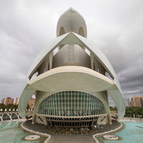 Ciudad de las Artes y las Ciencias - Valencia von Dries van Assen