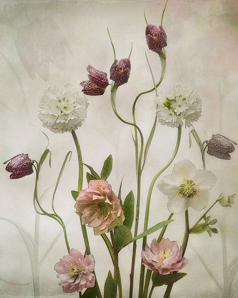 Frühlingsgarten von Sharon Williams
