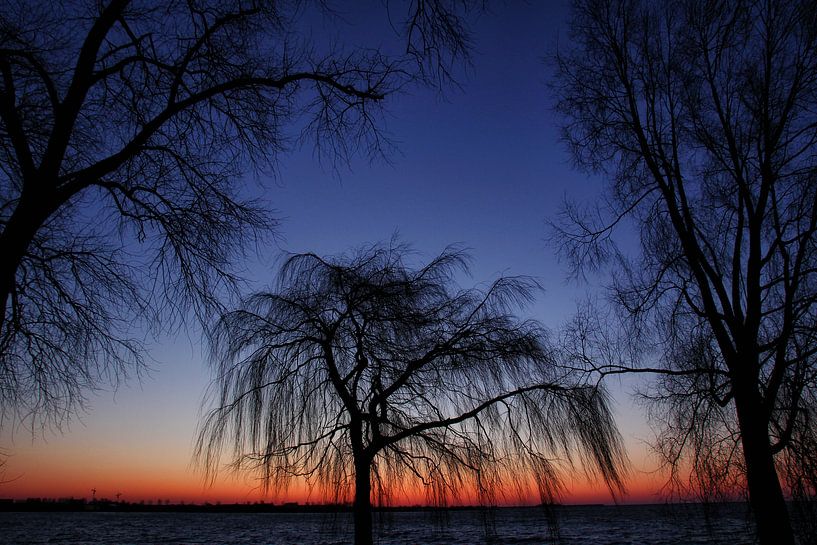 Zonsopkomst van Bob Bleeker