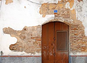 Deur in Sanlucar: de krokodil van Artstudio1622